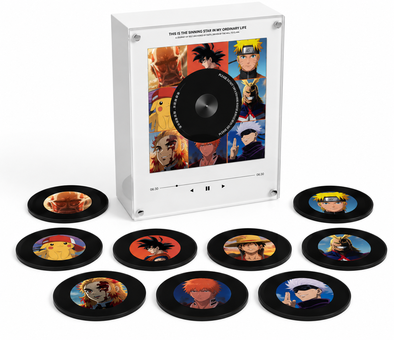 AniPlay Vinyl